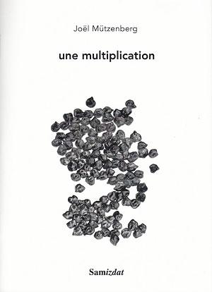 Une multiplication, de Joël Mützenberg