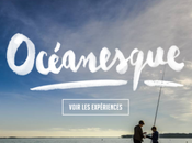 Vous faites toujours relation client téléphone loooool