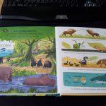 Alice James / Mon premier livre sur les animaux