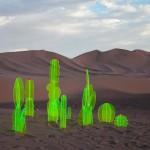 DESIGN : Nobel Truong et ses cactus surnaturels