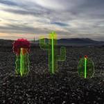 DESIGN : Nobel Truong et ses cactus surnaturels