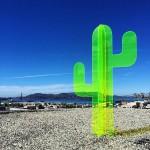 DESIGN : Nobel Truong et ses cactus surnaturels