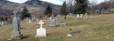 En quête d'une parcelle spéciale ...