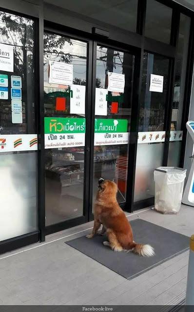 Thailand the unusual road, moments in video