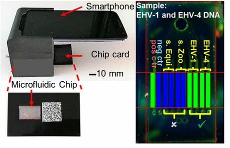 DIAGNOSTIC : Un lab-on-a-chip pour détecter plus vite plusieurs agents pathogènes DIAGNOSTIC : Un lab-on-a-chip pour détecter plus vite plusieurs agents pathogènes