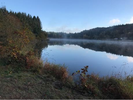 Panoramique automnal et matinal Panoramique automnal et matinal