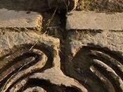 non-dualités Apollonios Tyane