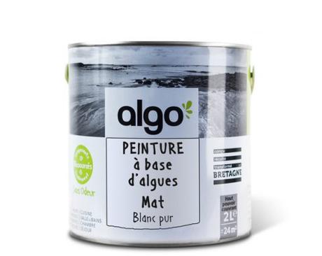 Algo Paint ( Rennes,35)  : la peinture à base d’algues, lève 800 000 euros