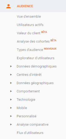 Google Analytics – Audience – Etape 2 sur 5