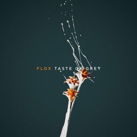 #Decouverte : #Flox nouvel album et clip Taste of Grey !