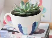 vernis pour succulente