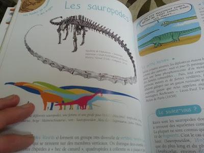Fossiles, géologie, dinosaures... paléontologie pour enfants