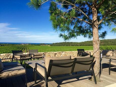 Magnifique vue de la terrasse du restaurant sur le vignoble
