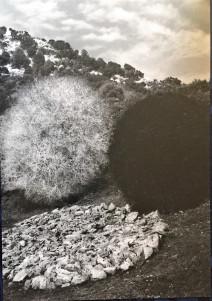 Domaine de Chaumont-sur-Loire – Centre d’Arts et de Nature Novembre 2017 Domaine de Chaumont-sur-Loire – Centre d’Arts et de Nature Novembre 2017