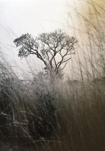 Domaine de Chaumont-sur-Loire – Centre d’Arts et de Nature Novembre 2017 Domaine de Chaumont-sur-Loire – Centre d’Arts et de Nature Novembre 2017