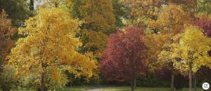 Domaine de Chaumont-sur-Loire – Centre d’Arts et de Nature Novembre 2017 Domaine de Chaumont-sur-Loire – Centre d’Arts et de Nature Novembre 2017