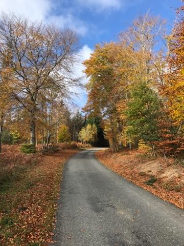 Couleur d'automne dans le Forez Couleur d'automne dans le Forez
