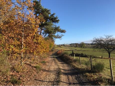 Couleur d'automne dans le Forez Couleur d'automne dans le Forez