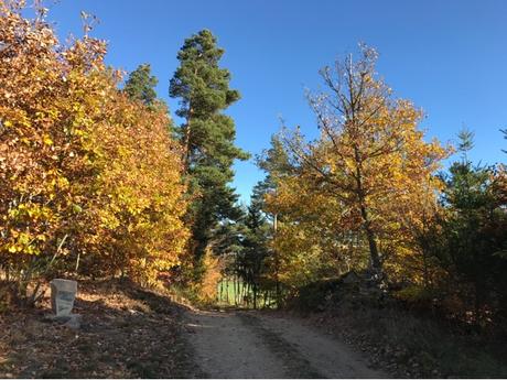 Couleur d'automne dans le Forez Couleur d'automne dans le Forez