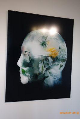 Fonte – Anna Katharina Scheidegger