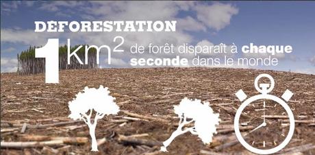 Climat : les 5 affirmations fallacieuses du parti « En Marche »