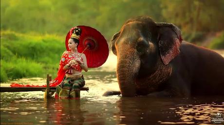 Musique Thaïlande en continue sur de superbes images (playlists) Musique Thaïlande en continue sur de superbes images (playlists)