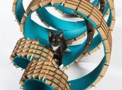 Quand architectes imaginent maisons pour chats