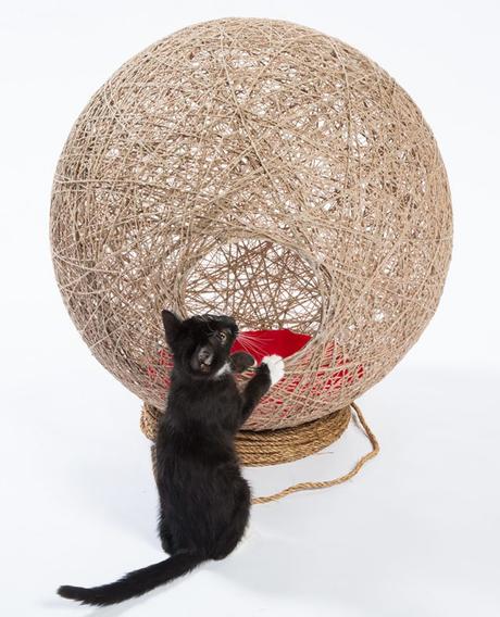 Quand des architectes imaginent des maisons pour chats Quand des architectes imaginent des maisons pour chats