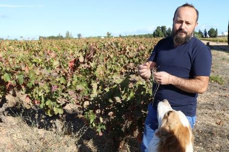 Brice du Mas Mellet nous fait découvrir son terroir et sa façon de vinifier
