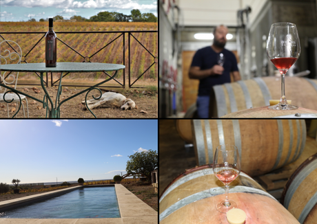 Mas Mellet - Costière de Nîmes