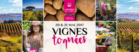 Vignes Toquées au mois de mai - Costières de Nîmes