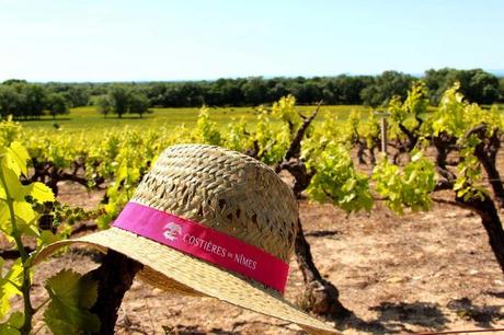 Costières de Nîmes célèbre les vignerons avec le festival Toqué !