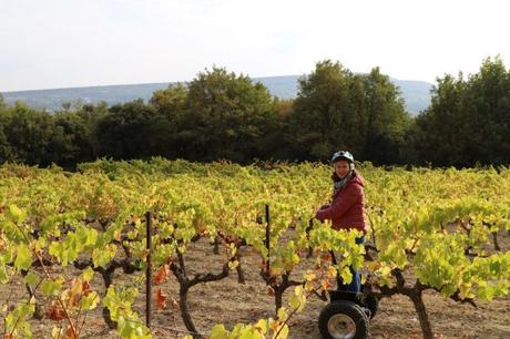 Balade en gyropode dans les vignes du domaine Rozel Balade en gyropode dans les vignes du domaine Rozel