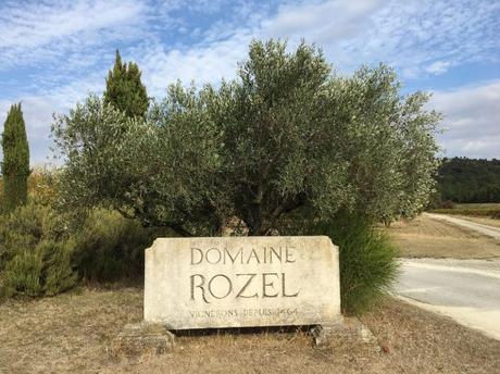 Grignan Lès Adhemar : une appellation qui a du caractère ! Grignan Lès Adhemar : une appellation qui a du caractère !