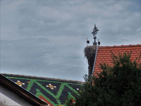 La France - Eguisheim - 3