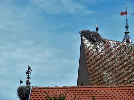 La France - Eguisheim - 3