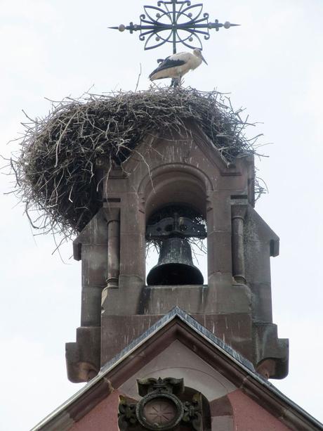 La France - Eguisheim - 3