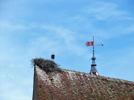 La France - Eguisheim - 3