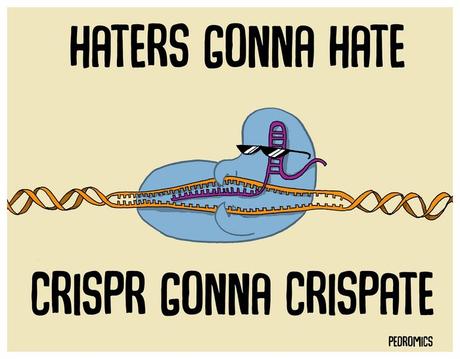 CRISPR-Cas9 : et maintenant, guérissez-vous vous-même !