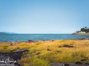 Voyage Canada 1ère étape: parc Bic, passant Bonaventure jusqu'à Percé.