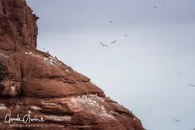 Voyage au Canada 1ère étape: Du parc du Bic, en passant par Bonaventure jusqu'à Percé.