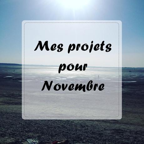 MES PROJETS POUR NOVEMBRE