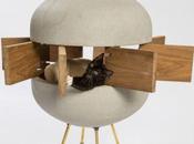 Habitations pour animaux abandonnés