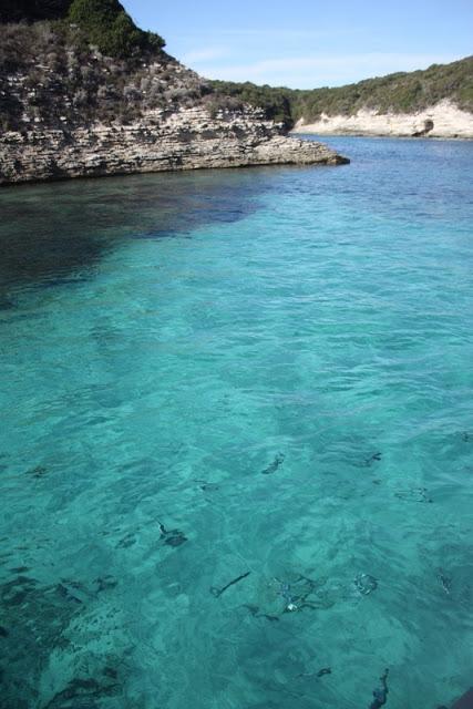 La Corse du sud à la Toussaint... deuxième année! La Corse du sud à la Toussaint... deuxième année!