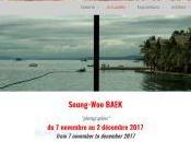 Galerie Capitale exposition partir Novembre jusqu’au Décembre 2017- Seung-Woo BAEK