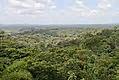 Avec environ 8 millions d'hectares, la forêt guyanaise couvre l'essentiel de la Guyane