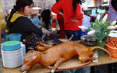 vietnam en profondeur - manger du chien 