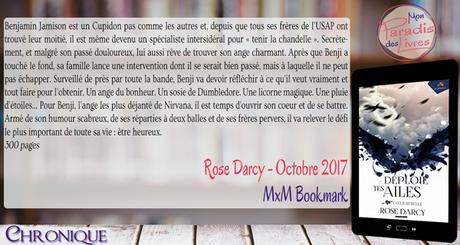 Déploie tes ailes #4 – Cœur rebelle – Rose Darcy