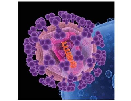 VACCIN anti-VIH : La nouvelle molécule qui cible le bouclier de sucre du virus