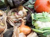 Panier semaine Basket Week